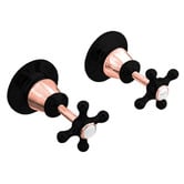 Linkware 2 Piece Noosa Brass Wall Top Assemblies