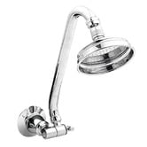 Linkware Noosa Multi Directional Gooseneck Shower &amp; Arm