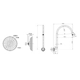 Linkware Augustine 220mm Gooseneck Shower Arm &amp; Head