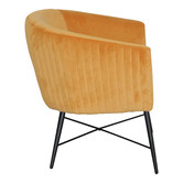 By Designs Shaylah Velvet Accent Chair