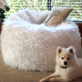 Lucca and Luna White Phoenix Bean Bag Cover