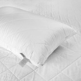Aldrin Home Bamboo King Pillow Protector