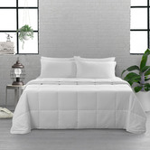 Aldrin Home 250GSM Washable Wool All Season Quilt