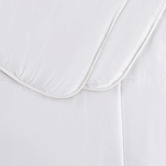 Aldrin Home White Spring Bamboo Quilt