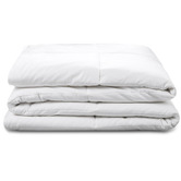 Aldrin Home White Spring Bamboo Quilt
