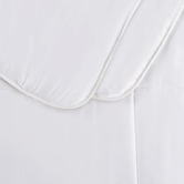 Aldrin Home White Spring Bamboo Quilt