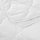 Aldrin Home 450GSM Cotton Winter Quilt