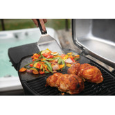 Napoleon Grills Napoleon TravelQ PRO 285 Electric Grill BBQ