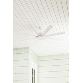 Martec Albatross 8 Blade DC Ceiling Fan