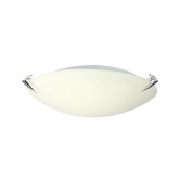 Zander Lighting Cone Frosted Glass Oyster Light