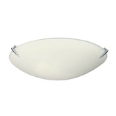 Zander Lighting Cone Frosted Glass Oyster Light