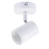 Zander Lighting Naples Metal Adjustable Spotlight