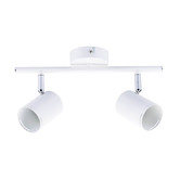 Zander Lighting Naples Metal Adjustable 2-Light Spotlight