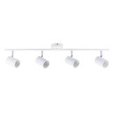 Zander Lighting Naples Metal Adjustable 4 Lamp Spotlight