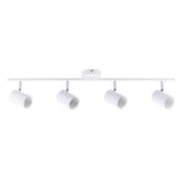 Zander Lighting Naples Metal Adjustable 4-Light Spotlight