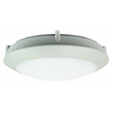 Zander Lighting Desio LED Outdoor Oyster Light