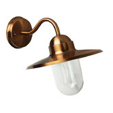 Zander Lighting Sulmona Brass Outdoor Wall Light