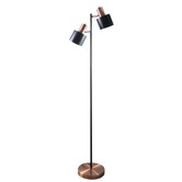 Zander Lighting Black Pluto Twin Floor Lamp