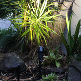 Zander Lighting Black Grove Aluminium Garden Spike Path Light