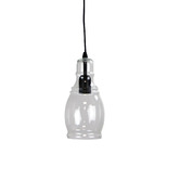Zander Lighting Pritchard Glass Bottle Pendant Light