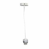 Zander Lighting Partie Metal Adjustable Suspension Pendant Light