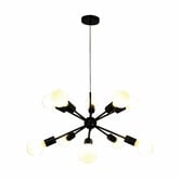 Zander Lighting Black Lugo Metal 10 Light Pendant