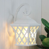 Zander Lighting Salvius Steel Outdoor Wall Light