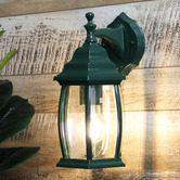 Zander Lighting Highland Down Exterior Wall Light