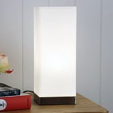 Zander Lighting Ivo White Steel &amp; Frosted Glass Table Lamp