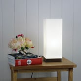 Zander Lighting Ivo White Steel &amp; Frosted Glass Table Lamp