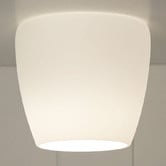 Zander Lighting Cosima Matte Opal Glass DIY Batten Fix Light