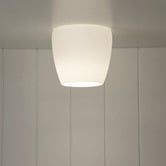 Zander Lighting Cosima Matte Opal Glass DIY Batten Fix Light