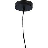 Zander Lighting Black Gilliam Metal Pendant Light