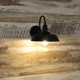Zander Lighting Coulson Metal &amp; Glass Outdoor Wall Light