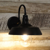 Zander Lighting Coulson Metal &amp; Glass Outdoor Wall Light