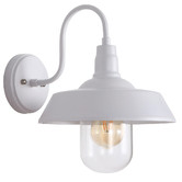Zander Lighting Coulson Metal &amp; Glass Outdoor Wall Light