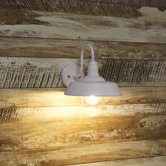 Zander Lighting Coulson Metal &amp; Glass Outdoor Wall Light