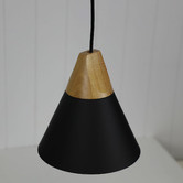 Zander Lighting Trigo Pendant Light