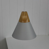 Zander Lighting Trigo Pendant Light