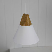 Zander Lighting Trigo Pendant Light