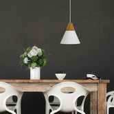 Zander Lighting Trigo Pendant Light