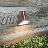 Zander Lighting Brava Outdoor Wall Light