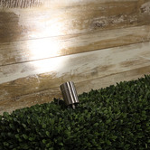 Zander Lighting 12V Garden DIY Accent Spotlight
