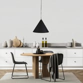 Zander Lighting Darius Large Metal Pendant Light