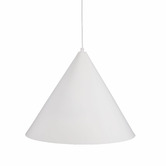 Zander Lighting Darius Large Metal Pendant Light