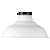 Zander Lighting Miyun Clear Glass &amp; Steel Ceiling Light Shade