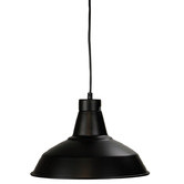 Zander Lighting Logan Pendant Light