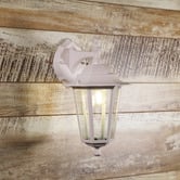 Zander Lighting Jing Downward Outdoor Coach Wall Light