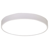 Zander Lighting Padma Steel LED Oyster Light