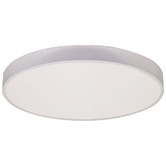 Zander Lighting Padma Steel LED Oyster Light